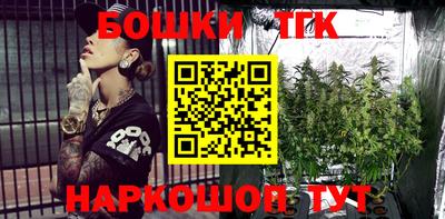 индика Пушкино