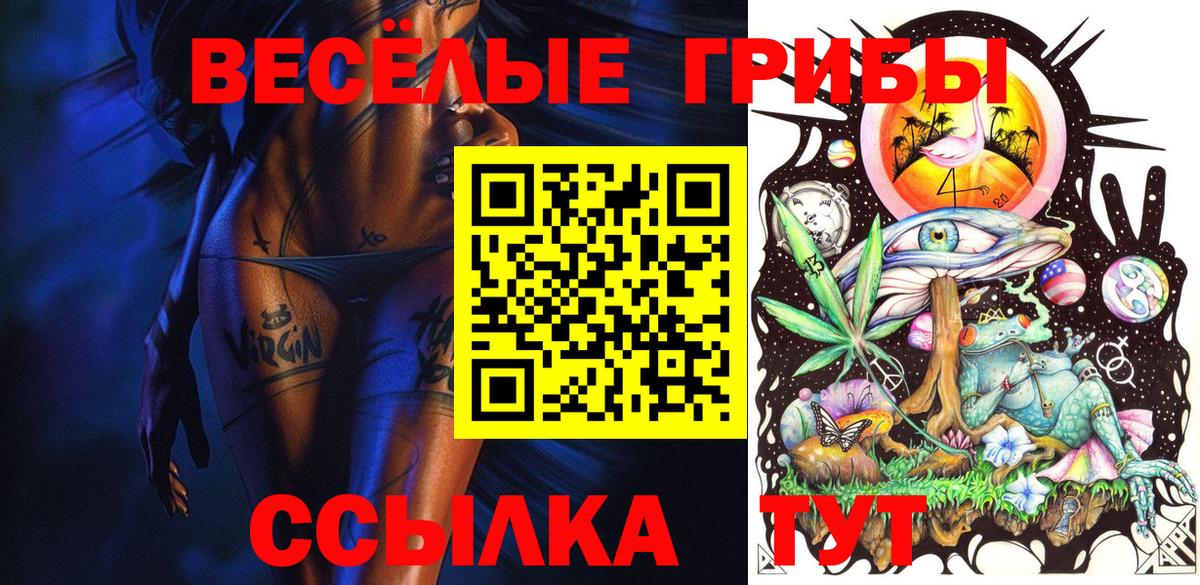 Псилоцибиновые грибы Psilocybe Тавда