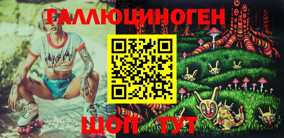 Псилоцибиновые грибы Psilocybe  Вход с VPN  Тавда 